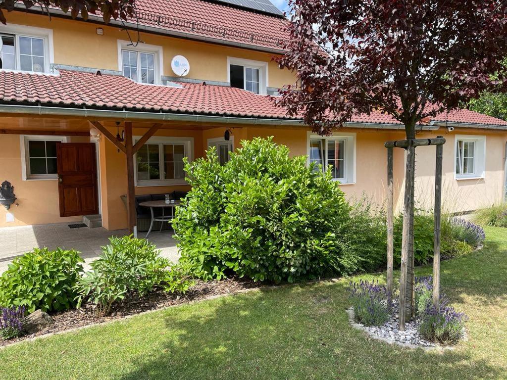 Apartman Elen - 6 Luzek, 86 M2 德辛 外观 照片